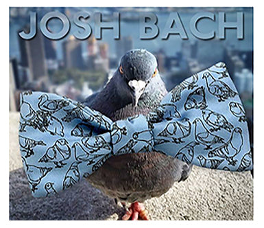 Josh Bach for Unique Silk Neckties, Bow ties, Pens, and Men's Gifts