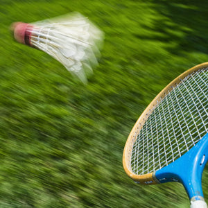 Badminton Birdies Bow Tie